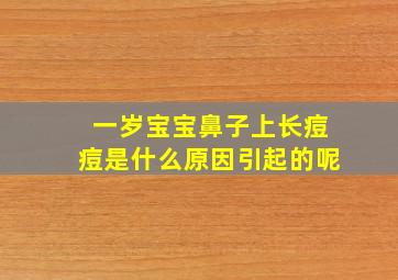 一岁宝宝鼻子上长痘痘是什么原因引起的呢