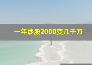 一年炒股2000变几千万