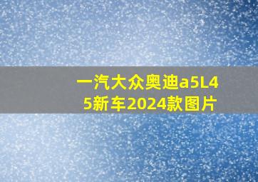 一汽大众奥迪a5L45新车2024款图片