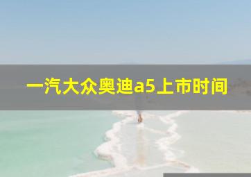 一汽大众奥迪a5上市时间