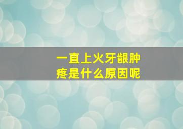 一直上火牙龈肿疼是什么原因呢