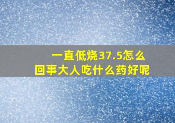 一直低烧37.5怎么回事大人吃什么药好呢