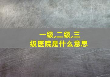 一级,二级,三级医院是什么意思