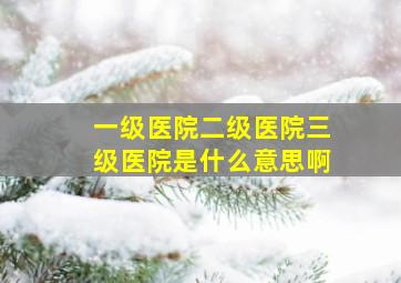 一级医院二级医院三级医院是什么意思啊