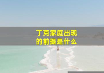 丁克家庭出现的前提是什么