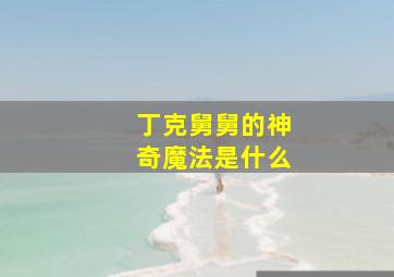 丁克舅舅的神奇魔法是什么