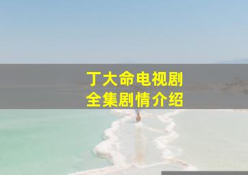 丁大命电视剧全集剧情介绍