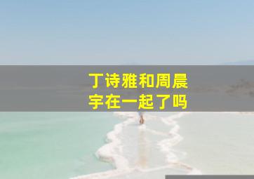 丁诗雅和周晨宇在一起了吗