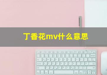 丁香花mv什么意思