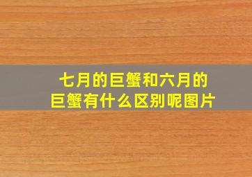 七月的巨蟹和六月的巨蟹有什么区别呢图片