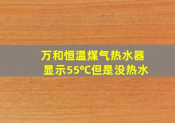 万和恒温煤气热水器显示55℃但是没热水