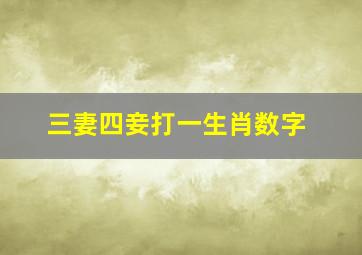 三妻四妾打一生肖数字