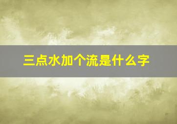 三点水加个流是什么字