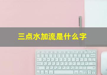 三点水加流是什么字