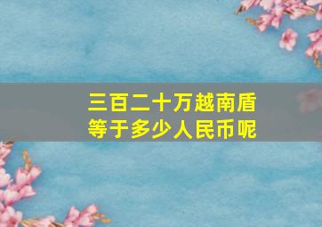 三百二十万越南盾等于多少人民币呢