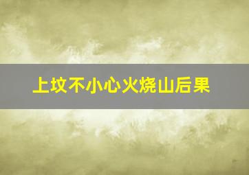 上坟不小心火烧山后果