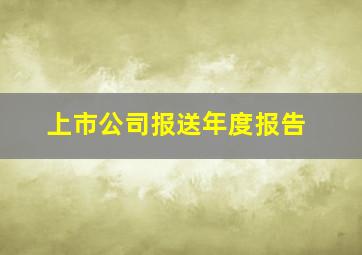 上市公司报送年度报告