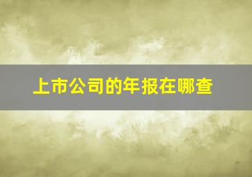 上市公司的年报在哪查