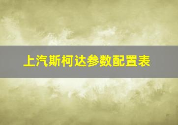 上汽斯柯达参数配置表