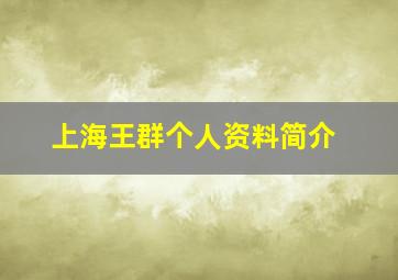 上海王群个人资料简介