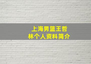 上海男篮王哲林个人资料简介