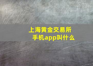 上海黄金交易所手机app叫什么