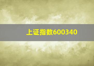 上证指数600340