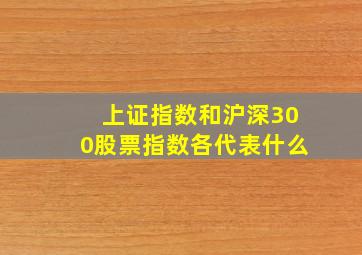 上证指数和沪深300股票指数各代表什么