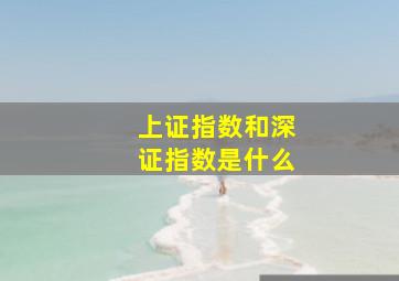 上证指数和深证指数是什么