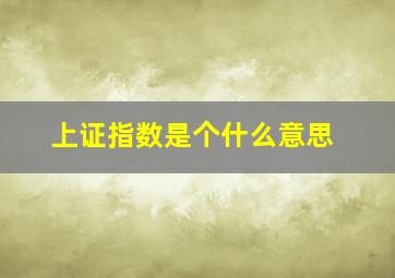 上证指数是个什么意思