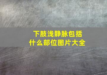 下肢浅静脉包括什么部位图片大全