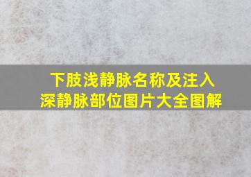 下肢浅静脉名称及注入深静脉部位图片大全图解