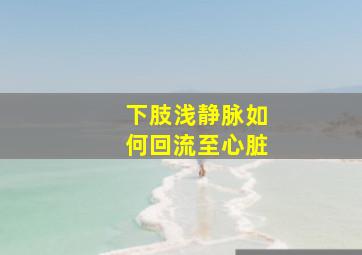 下肢浅静脉如何回流至心脏