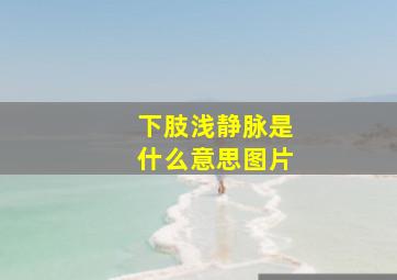 下肢浅静脉是什么意思图片