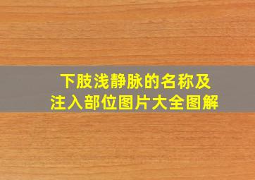 下肢浅静脉的名称及注入部位图片大全图解