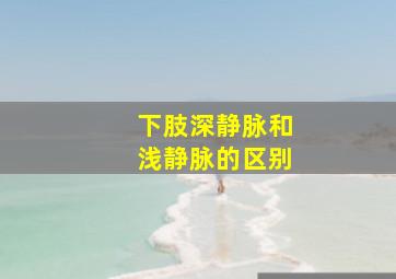 下肢深静脉和浅静脉的区别