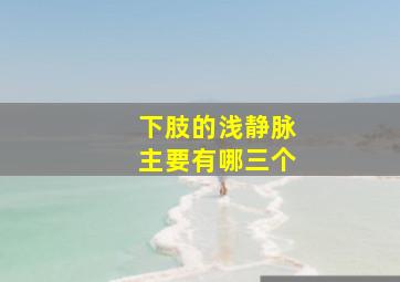 下肢的浅静脉主要有哪三个