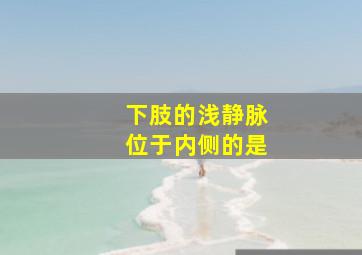 下肢的浅静脉位于内侧的是