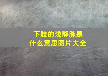 下肢的浅静脉是什么意思图片大全