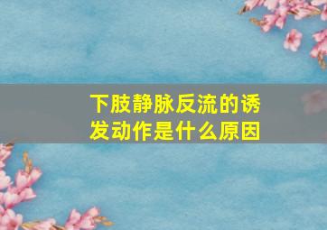 下肢静脉反流的诱发动作是什么原因