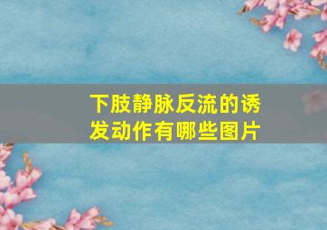 下肢静脉反流的诱发动作有哪些图片