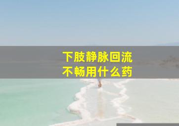 下肢静脉回流不畅用什么药