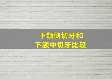 下颌侧切牙和下颌中切牙比较