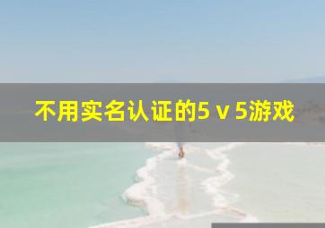 不用实名认证的5ⅴ5游戏