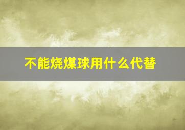 不能烧煤球用什么代替