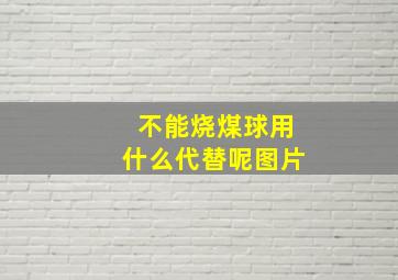 不能烧煤球用什么代替呢图片