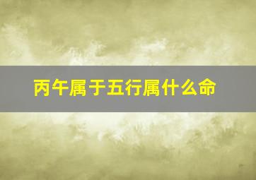 丙午属于五行属什么命