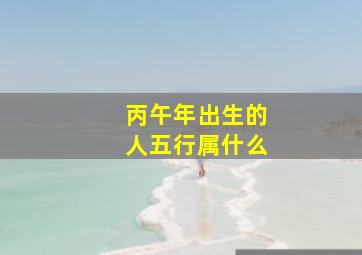 丙午年出生的人五行属什么