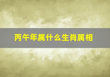 丙午年属什么生肖属相