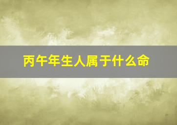 丙午年生人属于什么命